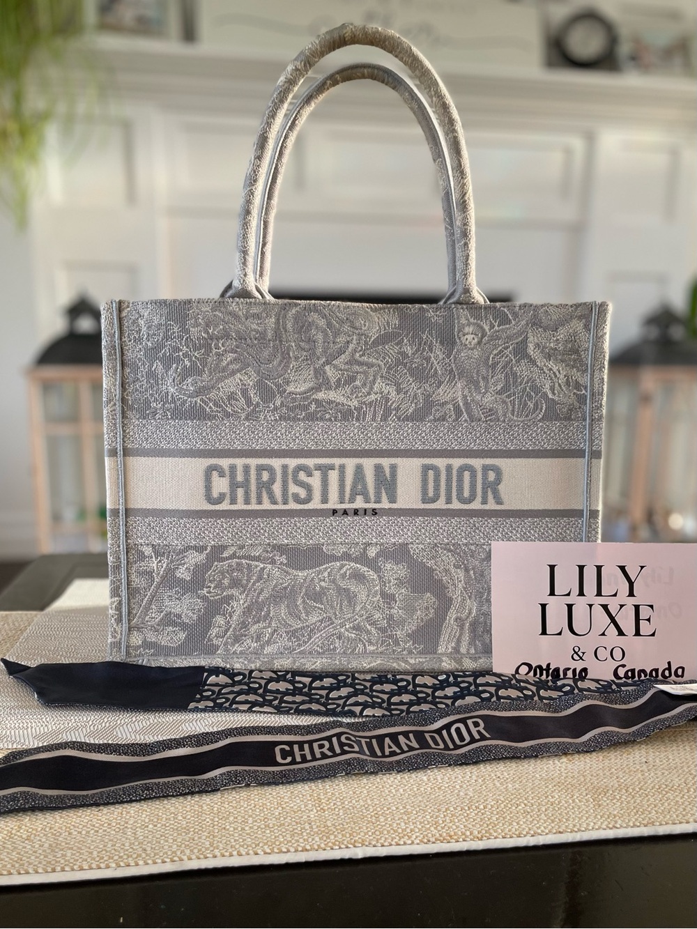 Dior Embroidered Book Tote with Scarf-Wrapped Handles - Picture 2 of 14